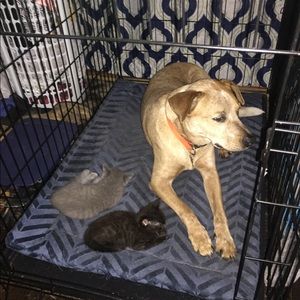 Meet your Posher, Michelle